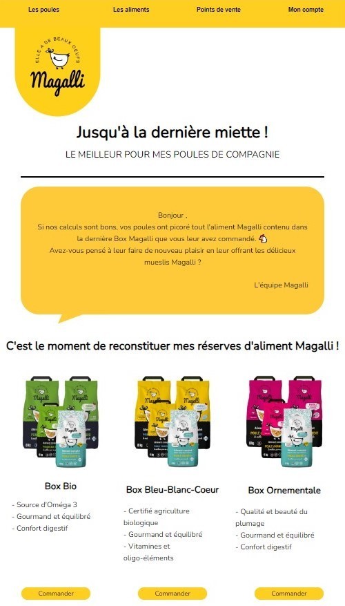 Campagne e-mail de relance pour les clients des boxes Magalli